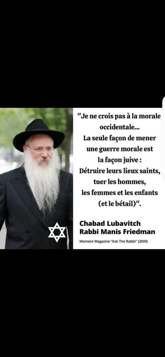 ghazal hamida tweet media