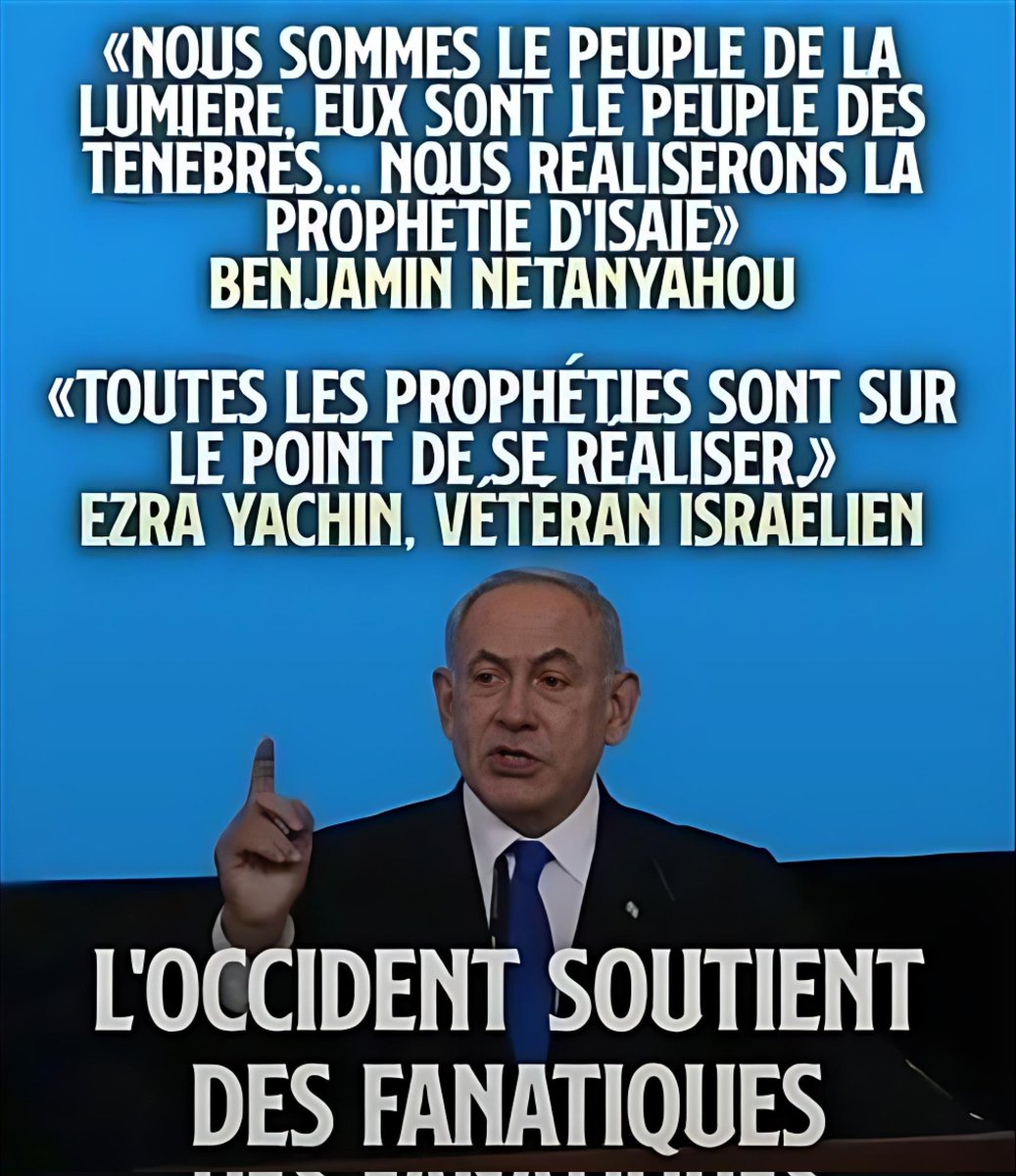 ghazal hamida tweet media