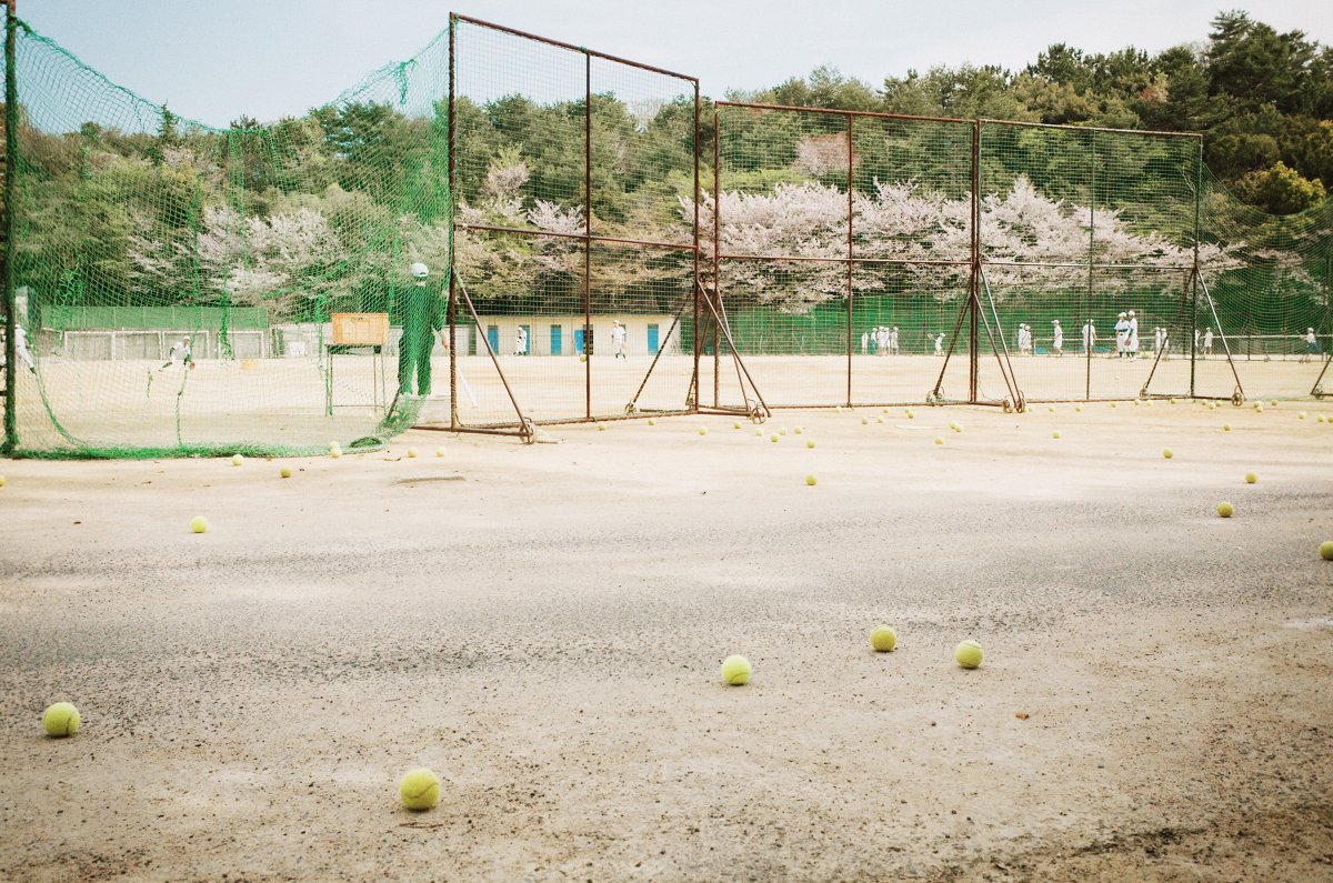 オオツキ トシアキ tweet media