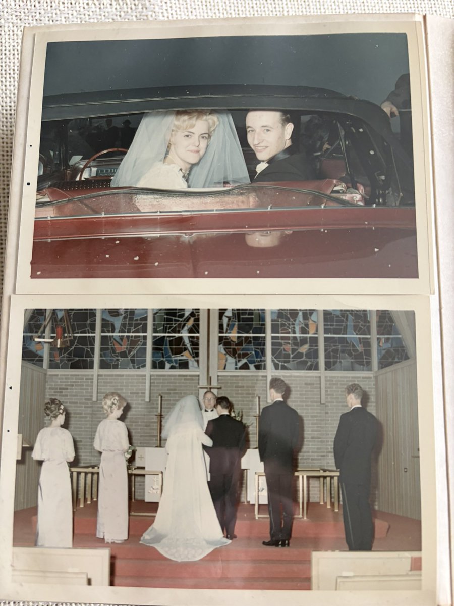 Scott Sax tweet media