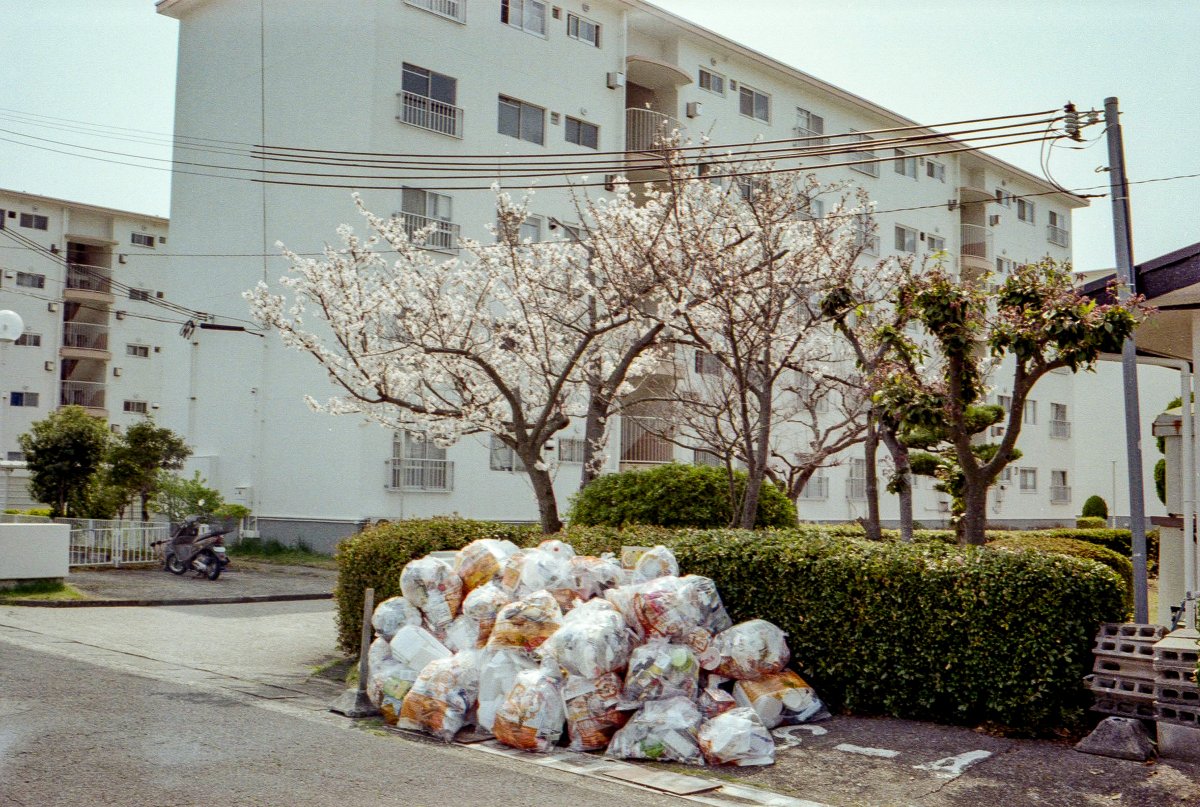 オオツキ トシアキ tweet media