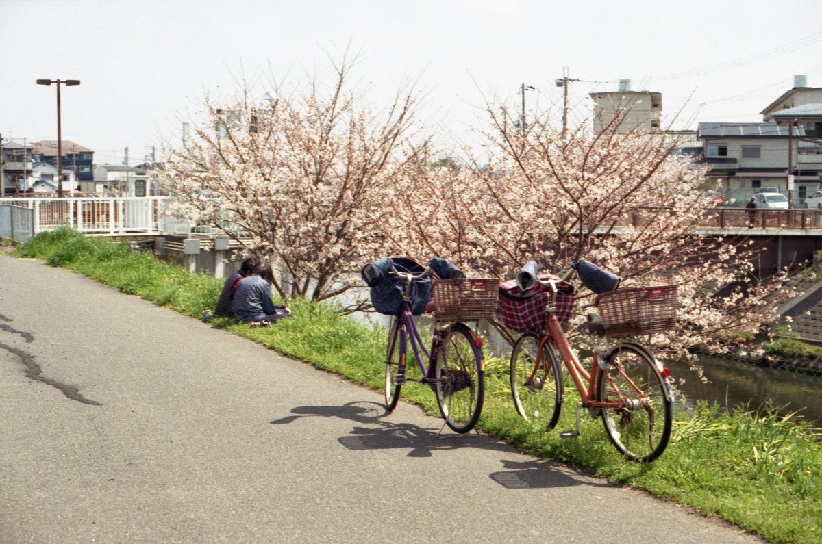 オオツキ トシアキ tweet media