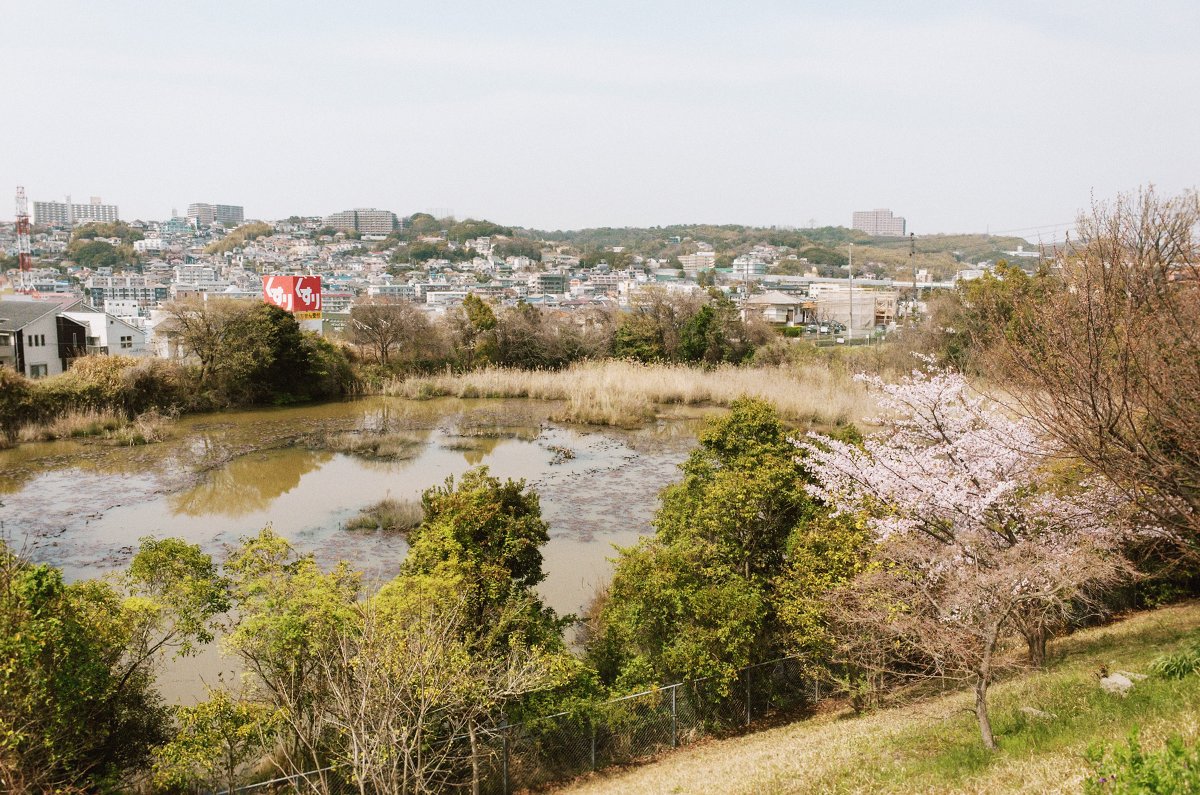 オオツキ トシアキ tweet media