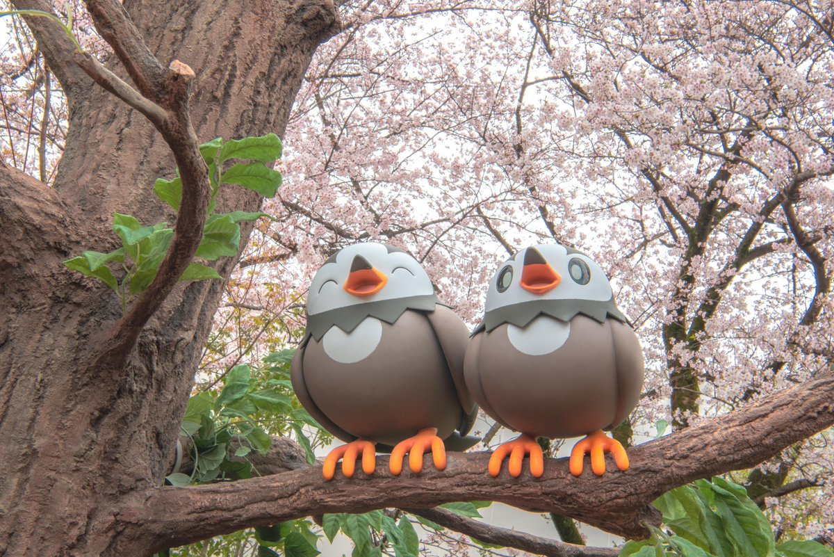 【公式】ポケパーク カントー PokéPark KANTO tweet media