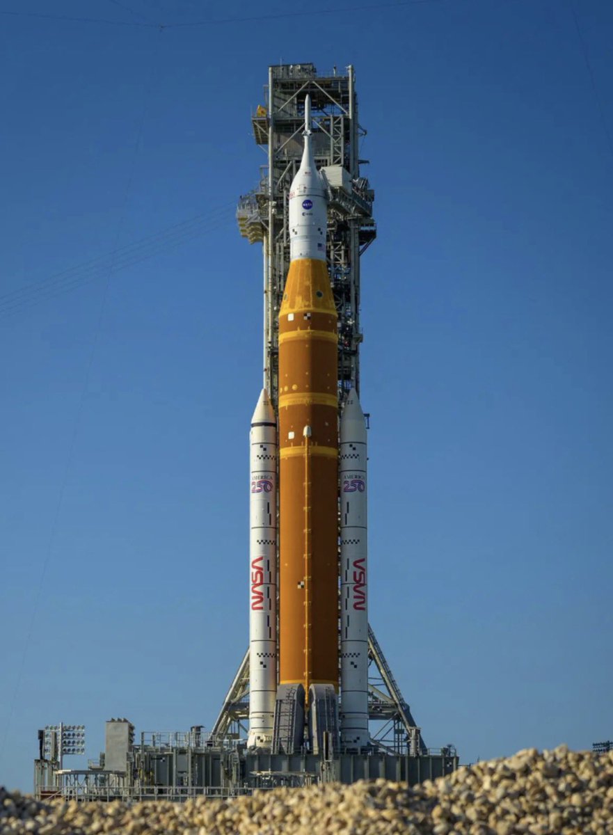 Beard Vet tweet media