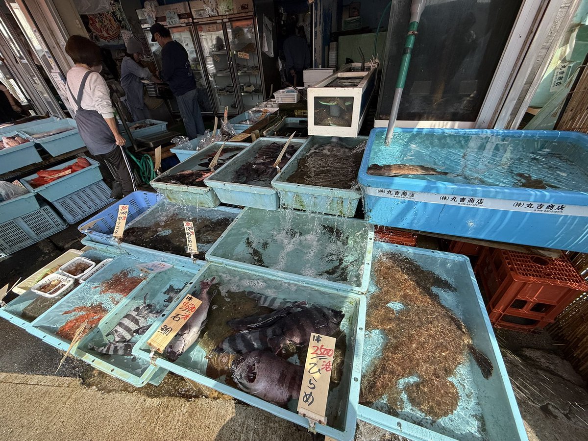 ガーニーグー・ジャパン tweet media