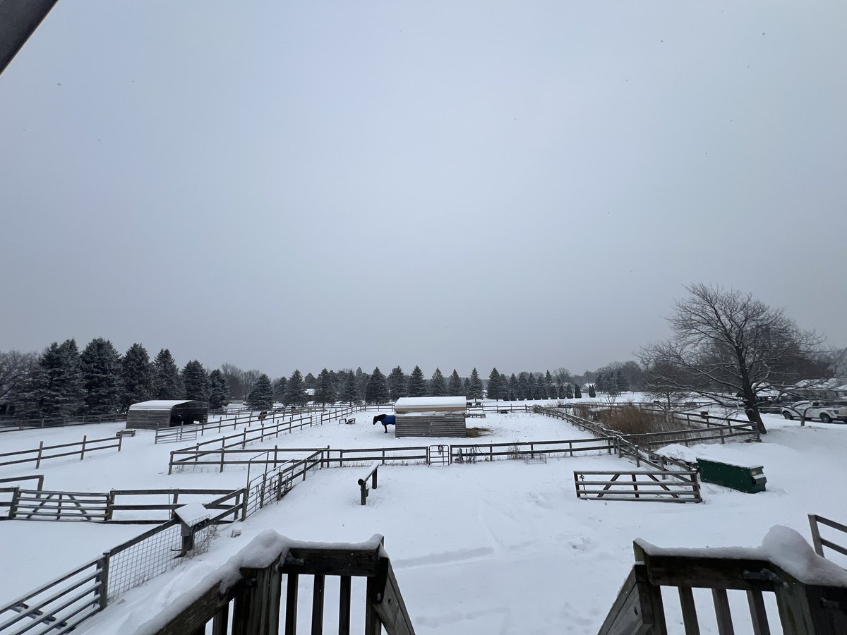 RoeskeSteven's tweet photo. @paya_paya_kun One piece of my small American ranch https://t.co/0nlGn9wqwJ
