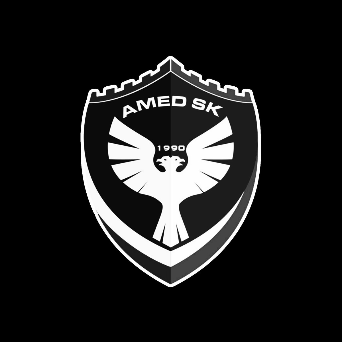 AMEDSPOR DİRENİŞ GRUBU tweet media