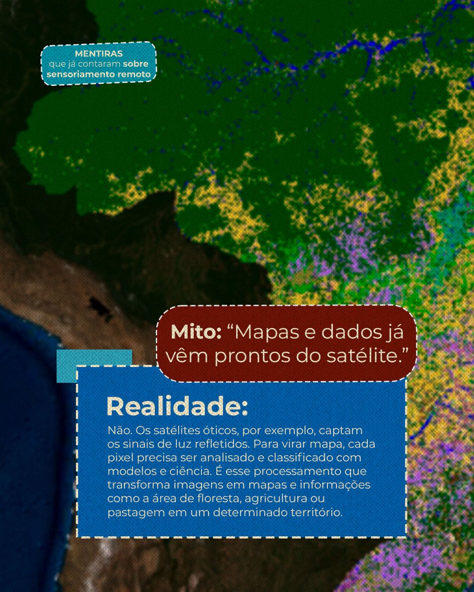 MapBiomas tweet media