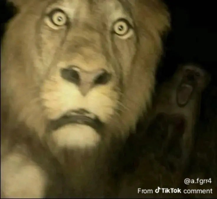 Mithun Kumar tweet media