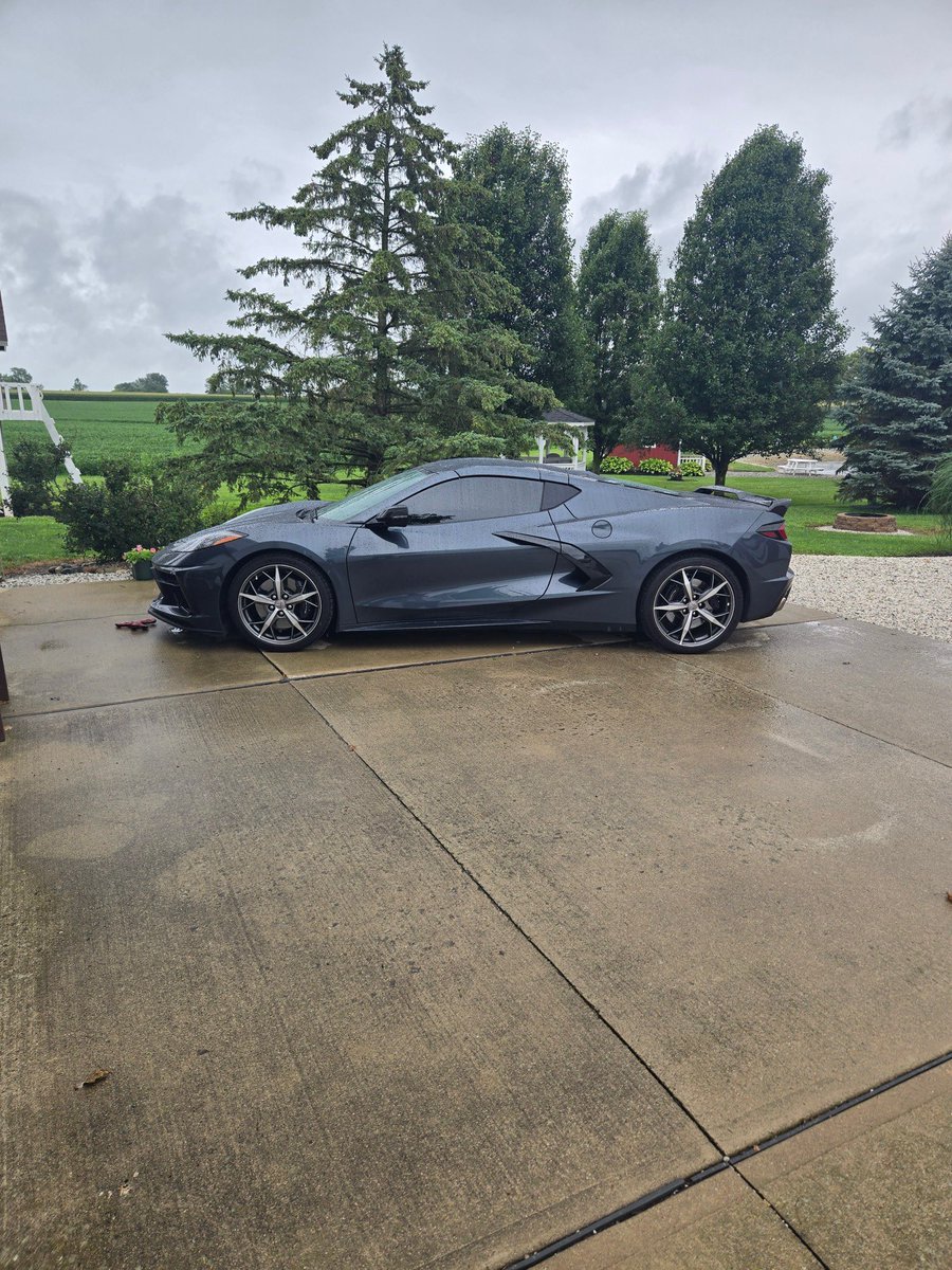 Ordinary Onion tweet media