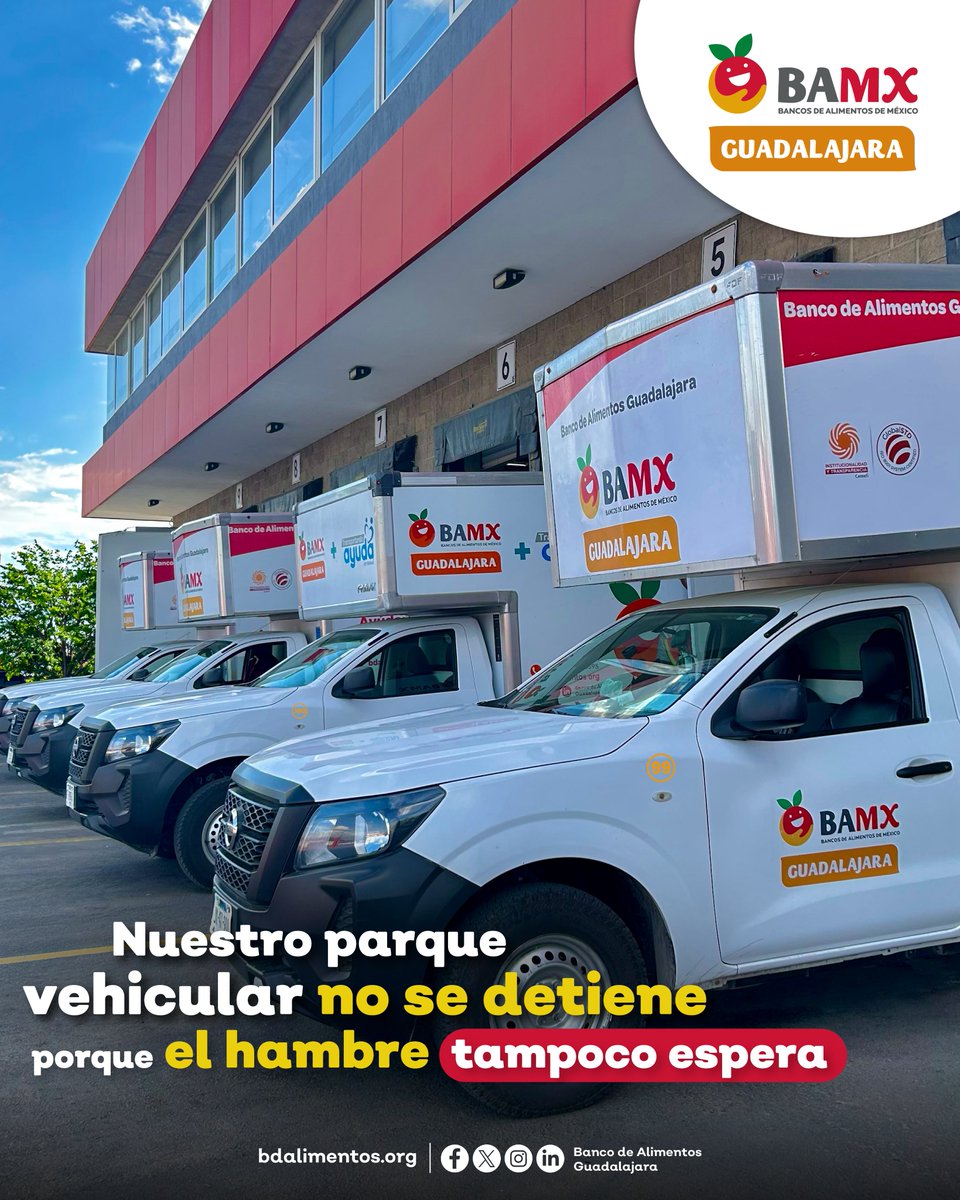 Banco de Alimentos Guadalajara tweet media