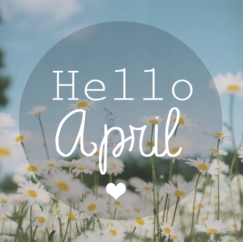 SandraMcCarty's tweet image. Hello April

A new month = new goals, fresh focus, and new opportunities.

#HelloApril #NewMonth #FreshStart
