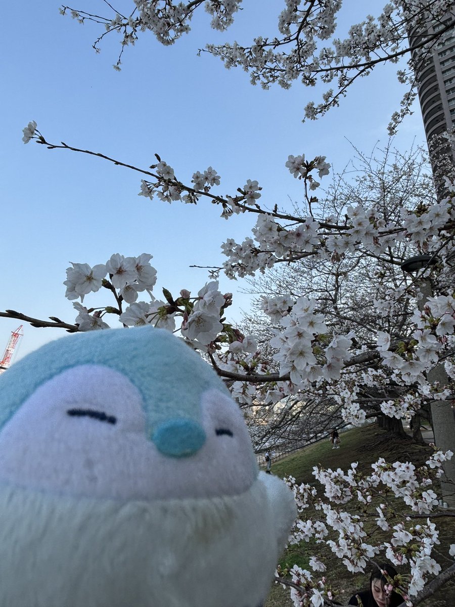 翠ぺんこ tweet media