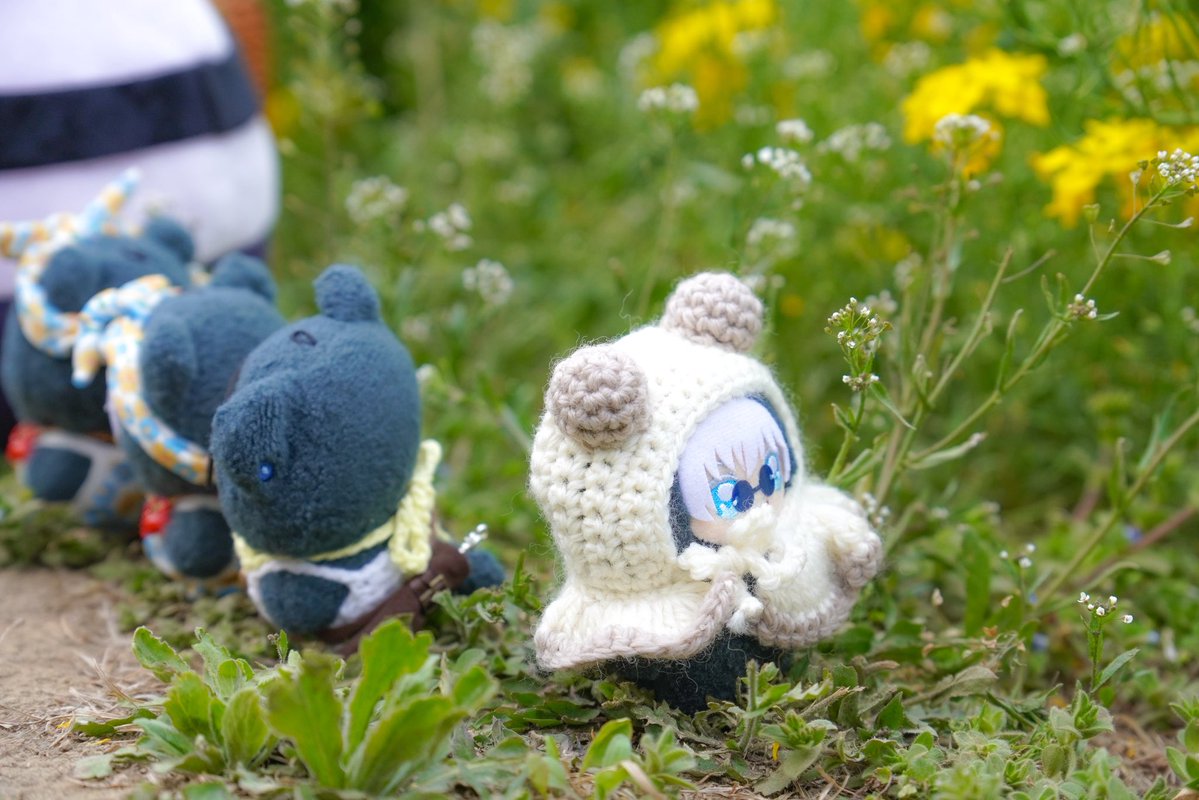 ミノル tweet media