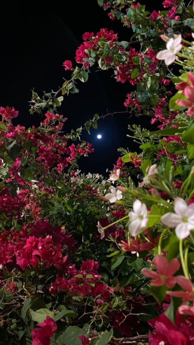 ْ🌸🌿
سُبْحَانَكَ اللَّهُمَّ وَبِحَمْدِكَ ، أَشْهَدُ أَنْ لا إِلهَ إِلَّا أَنْتَ أَسْتَغْفِرُكَ وَأَتْوبُ إِلَيْكَ

#الوتر_جنة_القلوب 🌸🌿