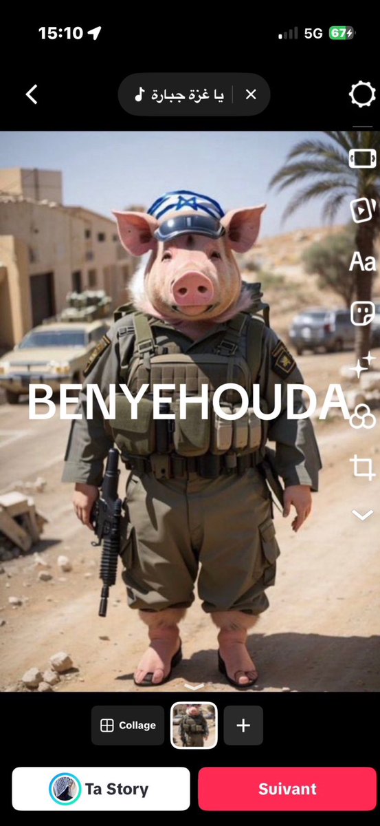 Antizionistcrimingenocid Vive la résistance 🇵🇸 tweet media