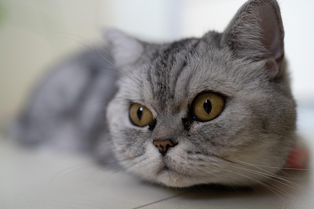 Mark Lee tweet media