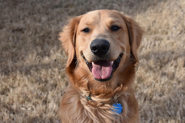 Jacqueline Medina tweet media