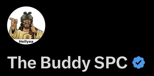 The Buddy CSM tweet media