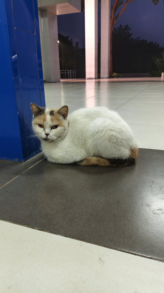 Gagak Anonim tweet media