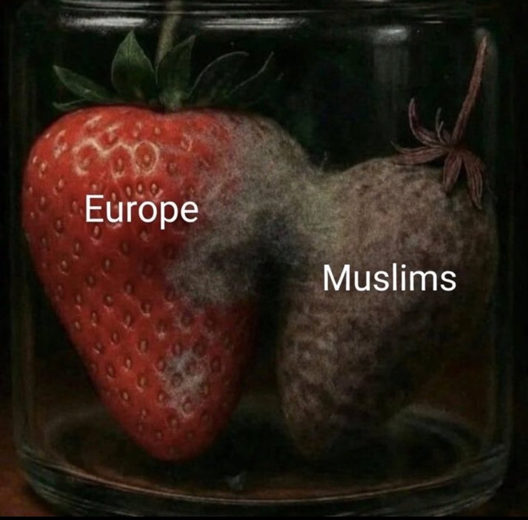 Lorena SR tweet media