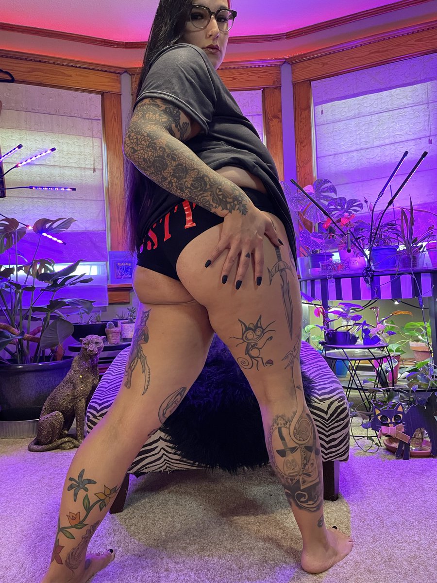 CatLadyDev tweet media