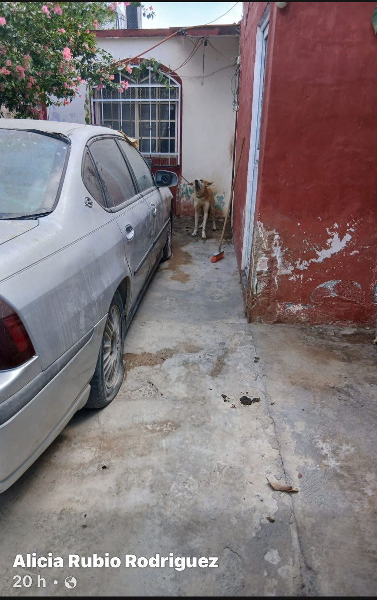 Mary P.🇵🇸🕊🐈 tweet media