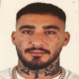 Martin Eden tweet media