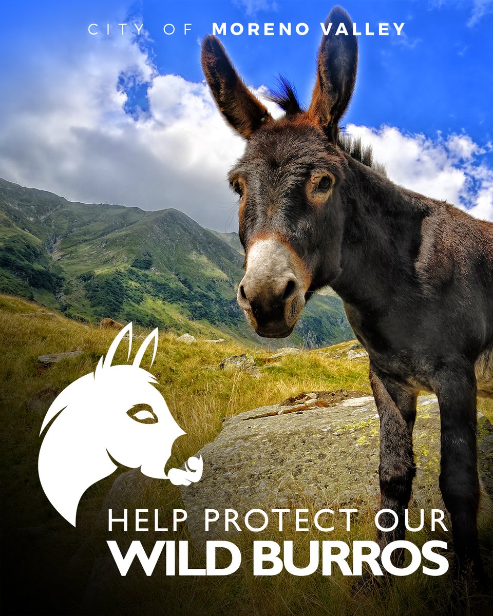 City of Moreno Valley tweet media