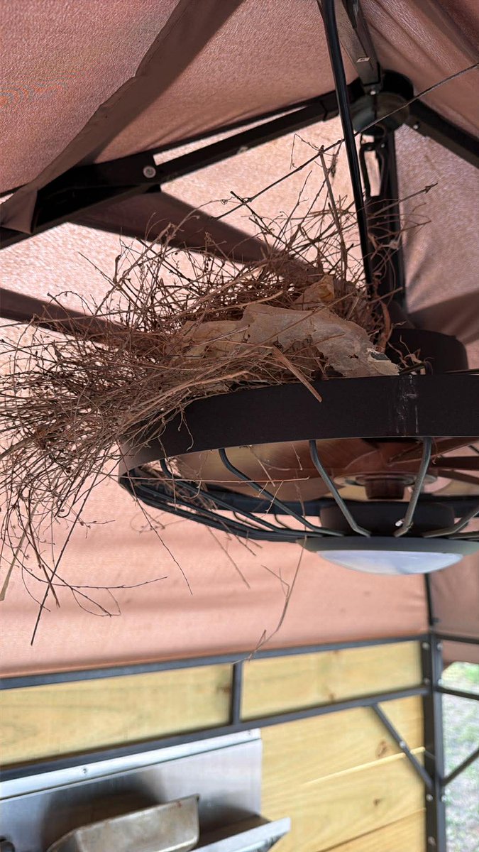 💖❤️Michelle_Pearson1572❤️💖 tweet media