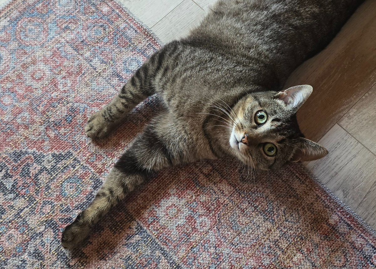 Derek Likes tweet media