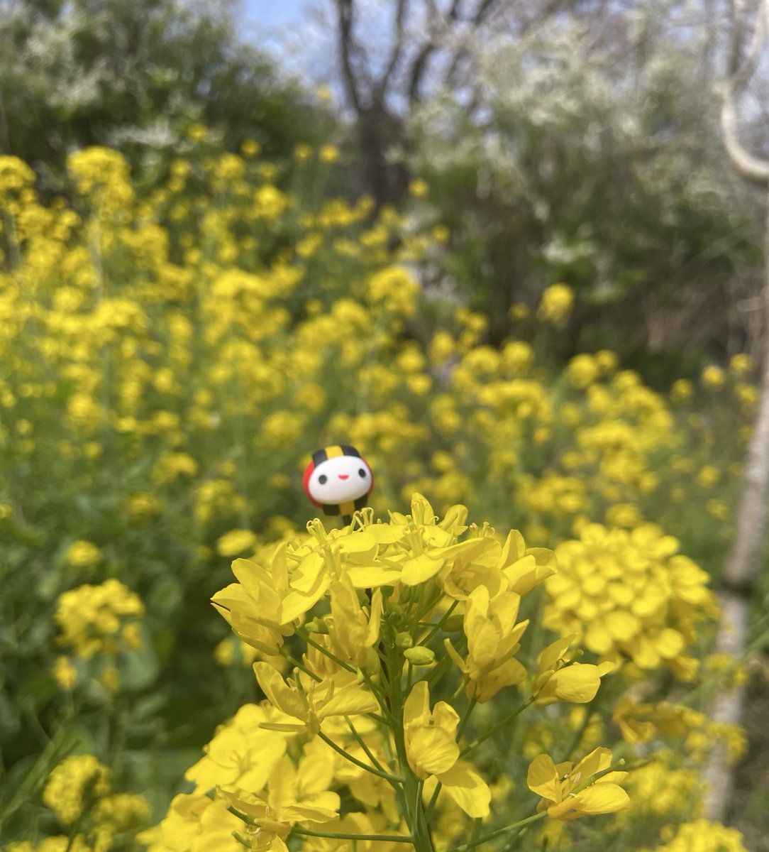 なるま tweet media