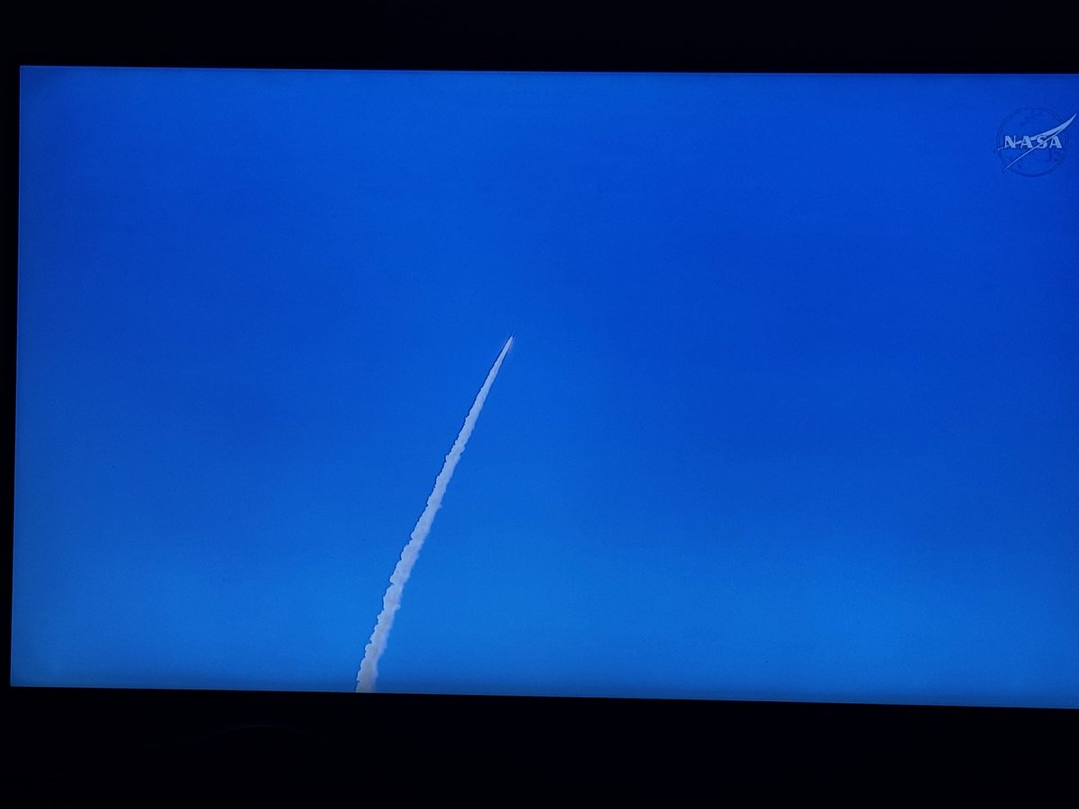 Majo 🍄 tweet media