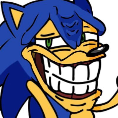 SonicChan tweet media
