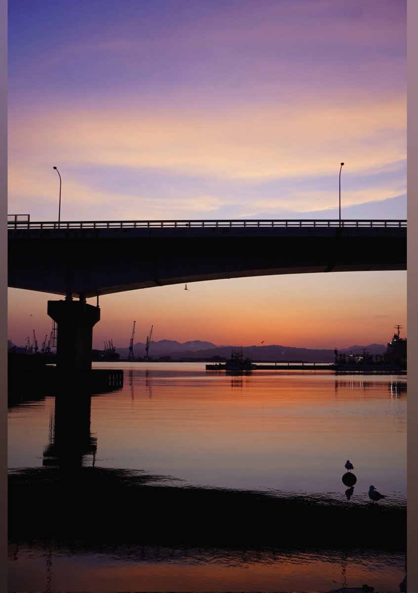 hanamaru tweet media