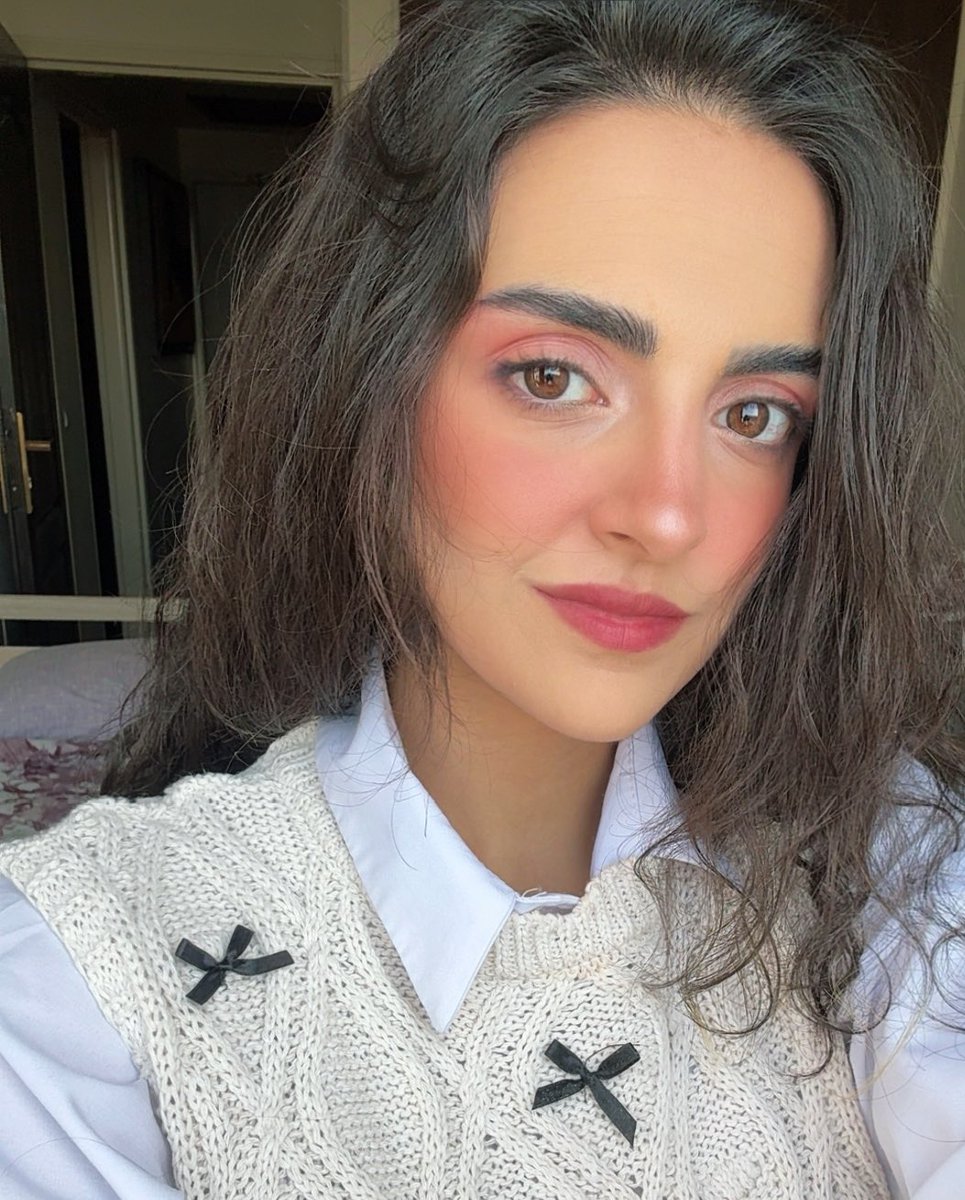 کارآگاه مخفی امین‌آباد tweet media