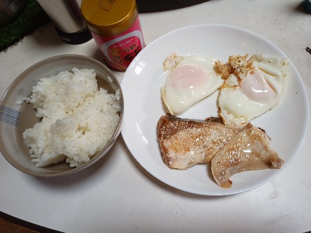 金太ωまひえもん🦥 tweet media