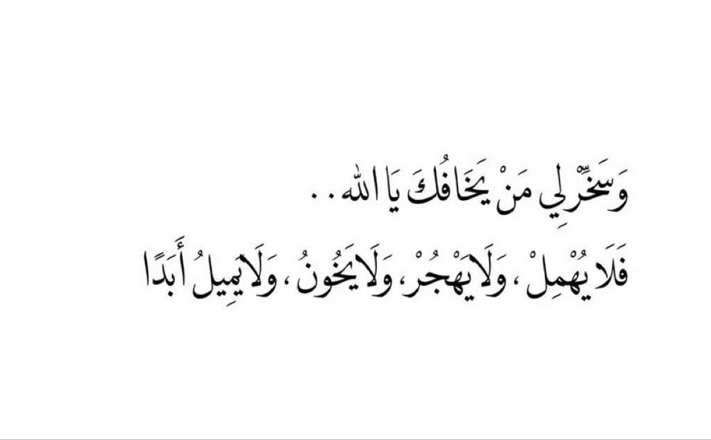 بشرى الشتيوني 🌿. tweet media
