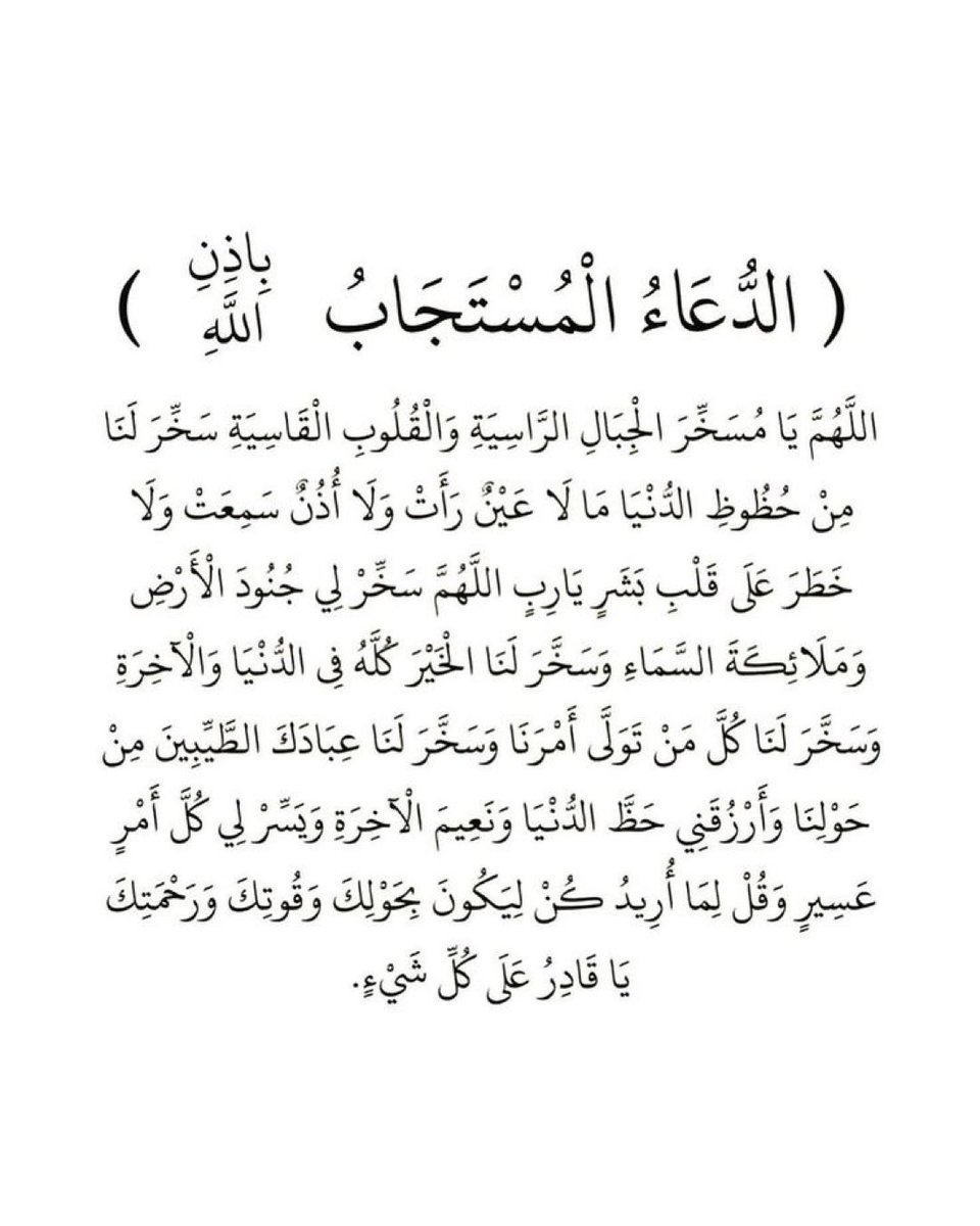 بشرى الشتيوني 🌿. tweet media