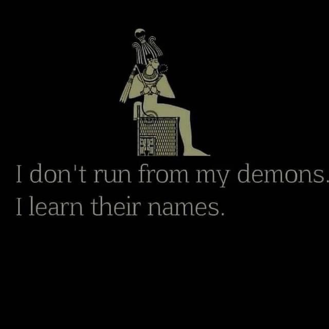 Shamz Tabrizi tweet media