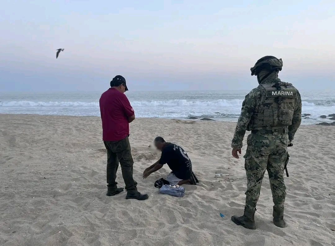 Códices Oaxaca tweet media