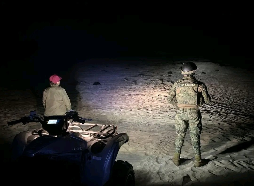 Códices Oaxaca tweet media