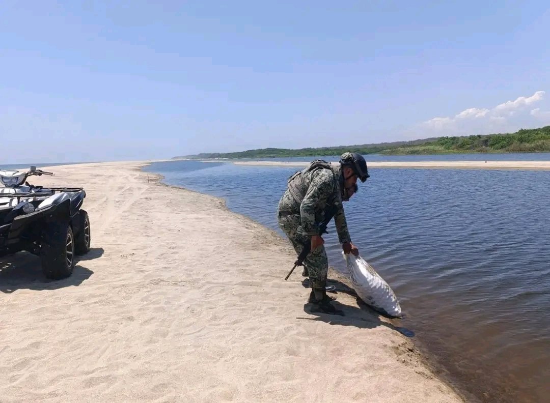 Códices Oaxaca tweet media