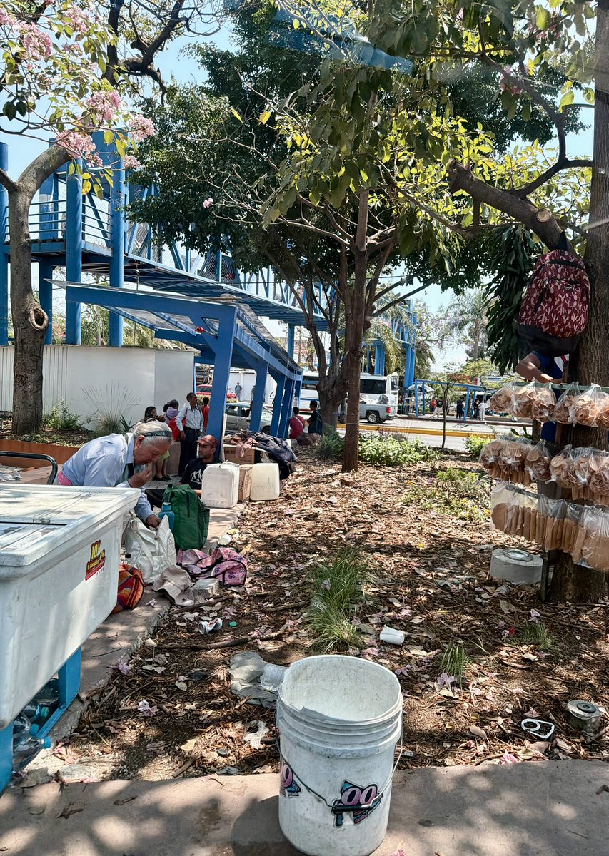 La Pulga News tweet media