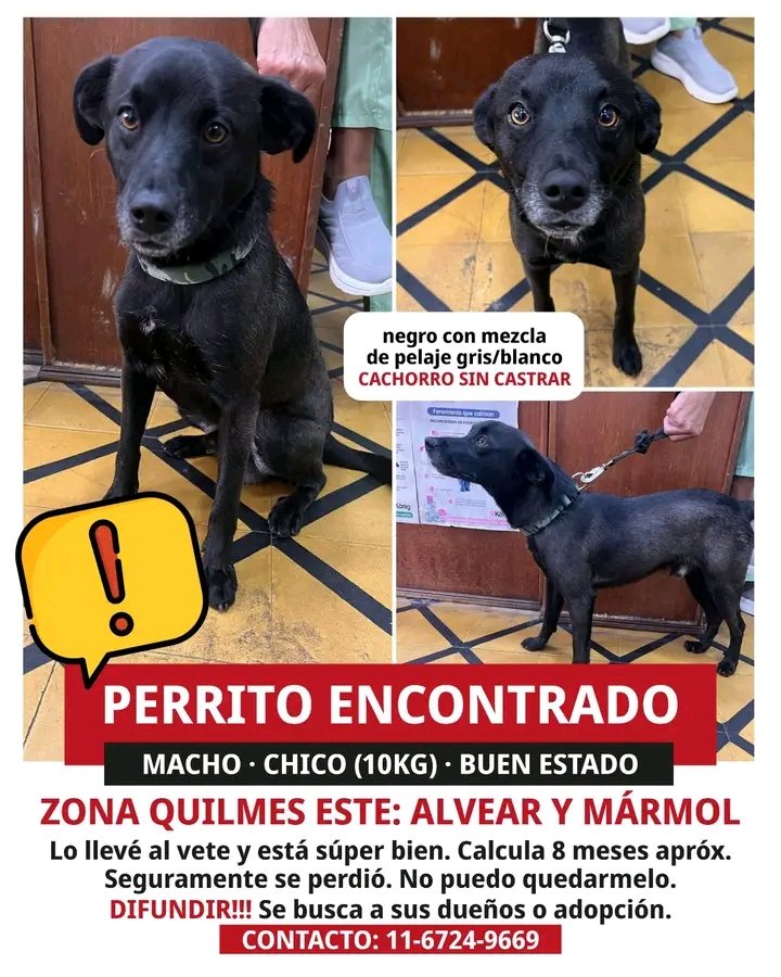 Jimena Torres ⭐️⭐️⭐️ tweet media