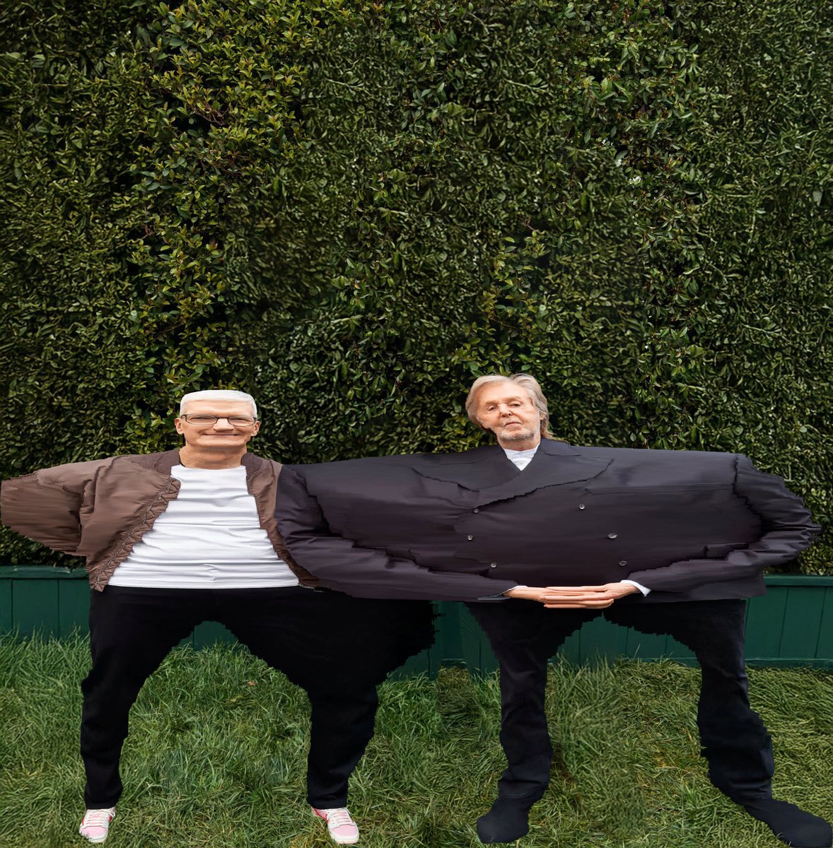 peter lane tweet media