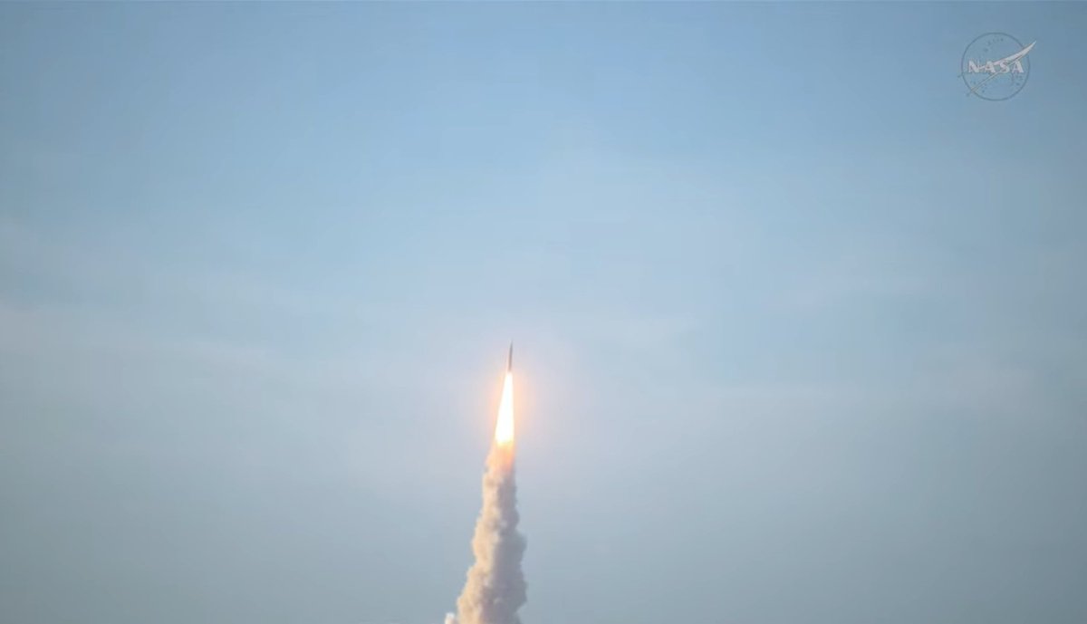 Juan Doe tweet media