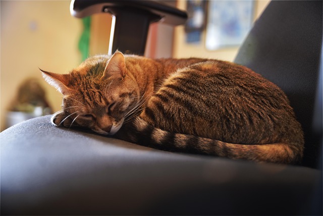 Melinda Chambers tweet media