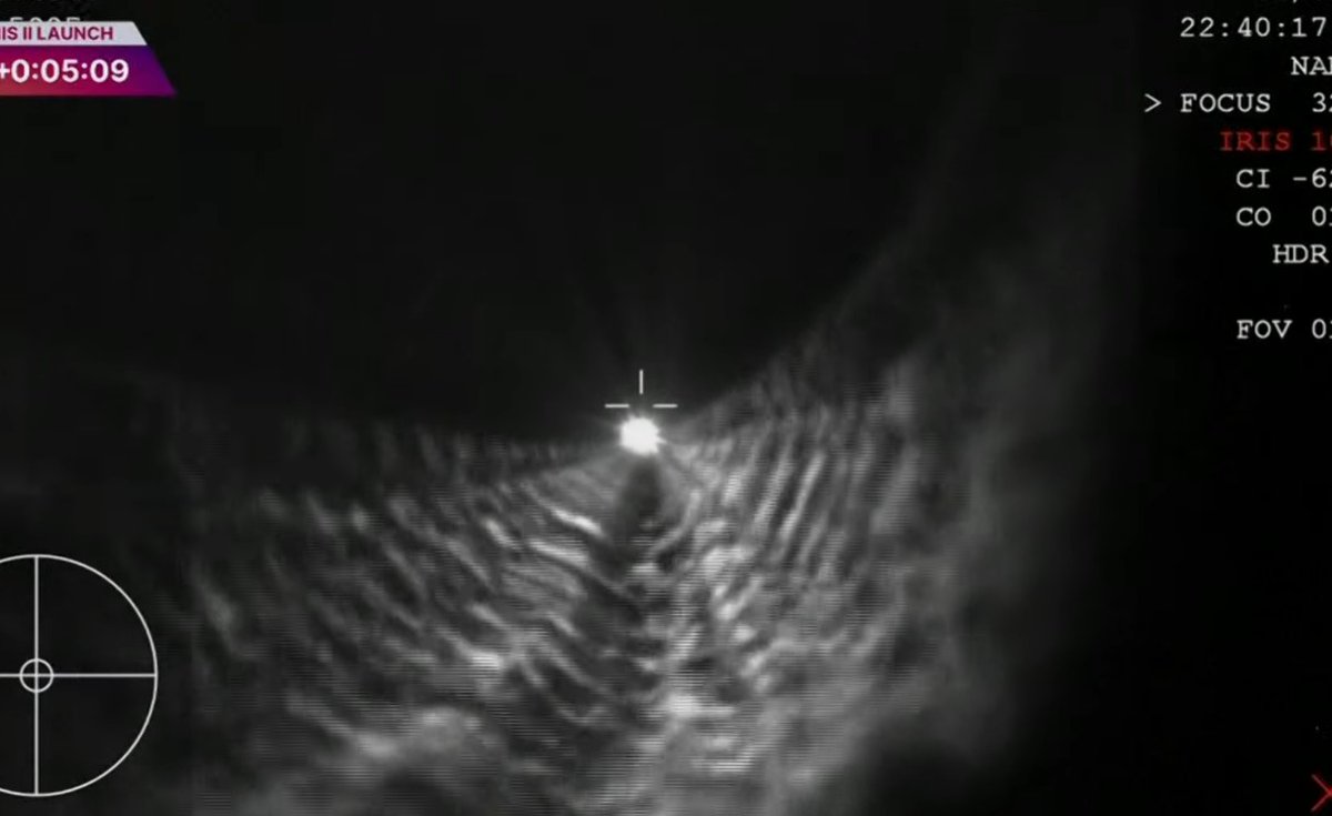 All day Astronomy tweet media